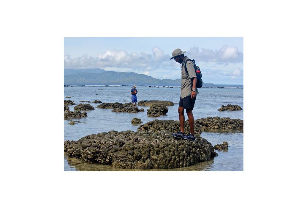 Figure 2. Researchers were searching intertidal corals in Ranongga Island of the western Solomon Islands.