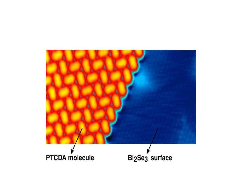 Protecting Topological Surface States with Organic Monolayers